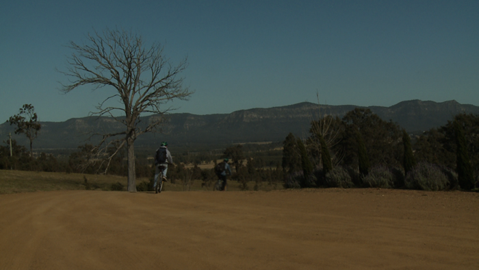 Bikes